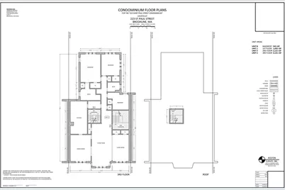 223 Saint Paul St, Brookline, MA 02446 - Photo 4