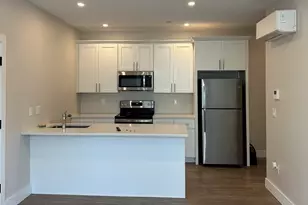 58 River St, Boston, MA 02126 - Photo 1