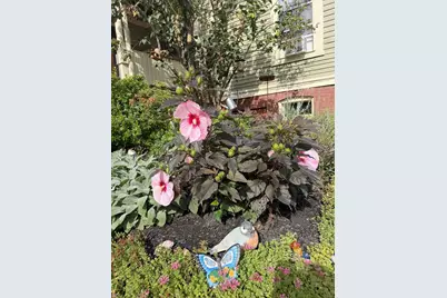 54 Bromfield Street #5, Newburyport, MA 01950 - Photo 4