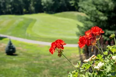 208 Country Club Way, Ipswich, MA 01938 - Photo 8