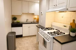 6 Centre Pl, Boston, MA 02119 - Photo 2