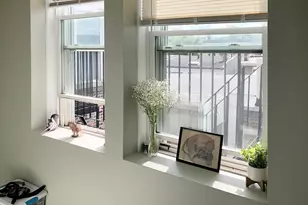 119 Cottage St, Boston, MA 02128 - Photo 22