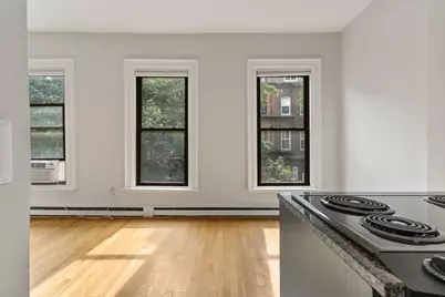 182 West Brookline Street #3, Boston, MA 02118 - Photo 10