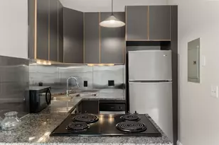 182 W Brookline St, Boston, MA 02118 - Photo 8