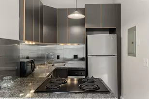 182 W Brookline St, Boston, MA 02118 - Photo 8