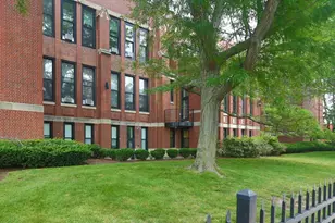 60 Gibson St, Boston, MA 02122 - Photo 16