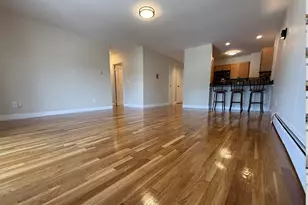 48 Coffey, Boston, MA 02122 - Photo 8