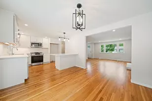 36 Vine St, Randolph, MA 02368 - Photo 10