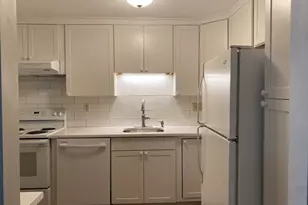 56 Bigelow, Watertown, MA 02472 - Photo 6