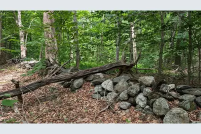 951 West Rd, Ashfield, MA 01330 - Photo 18