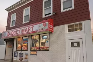 225 Florence St, Boston, MA 02131 - Photo 18