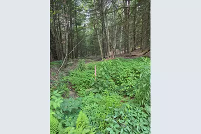 Lot 2 Sampson Road, Huntington, MA 01050 - Photo 2
