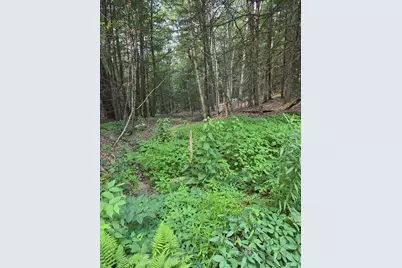 Lot 1 Sampson Road, Huntington, MA 01050 - Photo 2