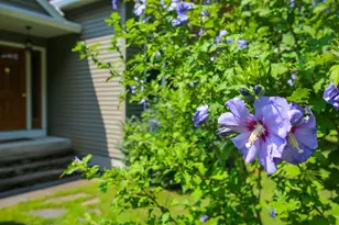 18 East Road, Adams, MA 01220 - Photo 4