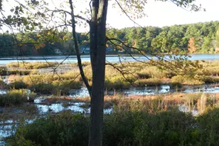 52 Sandy Pond Rd, Ayer, MA 01432 - Photo 6