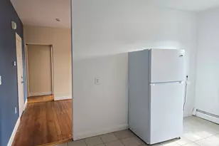 13 Bismarck St, Boston, MA 02130 - Photo 6