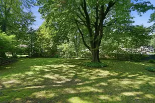 1374 Plumtree Rd, Springfield, MA 01119 - Photo 2