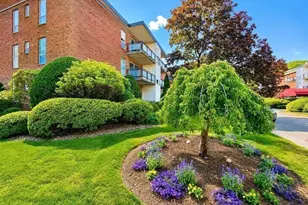 55 Broadlawn Park, Boston, MA 02467 - Photo 40