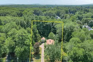53 Elmwood Rd, Wellesley, MA 02481 - Photo 4