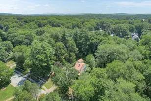53 Elmwood Rd, Wellesley, MA 02481 - Photo 12