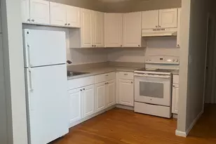 44 Maple St, Boston, MA 02136 - Photo 2