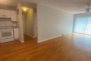 44 Maple St, Boston, MA 02136 - Photo 8