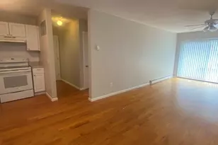 44 Maple St, Boston, MA 02136 - Photo 8