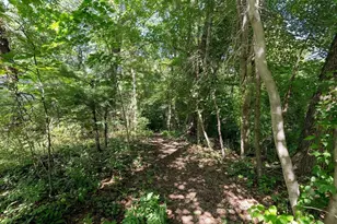 8 Dana Rd, Bedford, MA 01730 - Photo 40