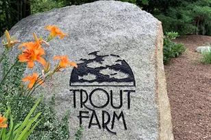 53 Trout Farm Ln, Duxbury, MA 02332 - Photo 36