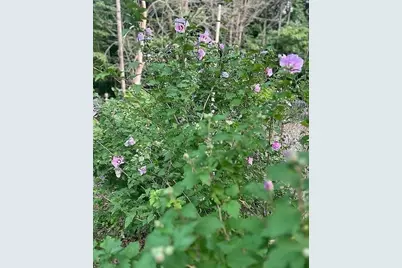 144 Seventh Street, Montague, MA 01376 - Photo 30