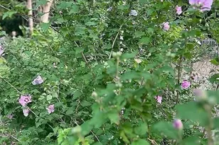 144 7th St, Montague, MA 01376 - Photo 30