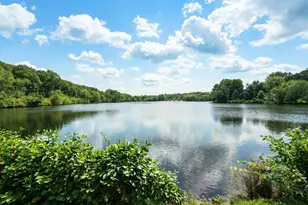 50 Mill Pond, North Andover, MA 01845 - Photo 2