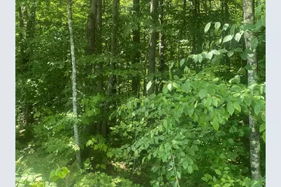 Tract 7 Delargy Rd, Hardwick, MA 01037 - Photo 8