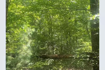 Tract 7 Delargy Rd, Hardwick, MA 01037 - Photo 14