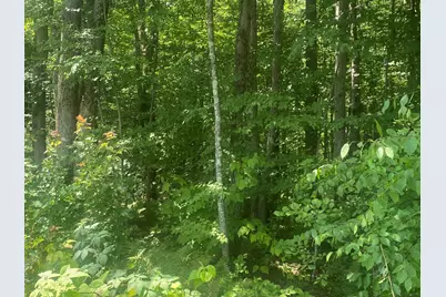 Tract 7 Delargy Rd, Hardwick, MA 01037 - Photo 12