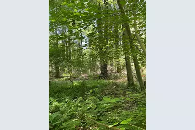 29 Sammy's Lane, Freetown, MA 02702 - Photo 32