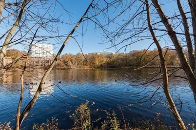 99 Pond Ave. #208, Brookline, MA 02445 - Photo 14
