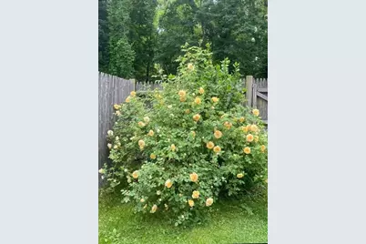 233 Lake St #D, Weymouth, MA 02189 - Photo 8