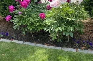55 Memorial Dr, Salem, MA 01970 - Photo 8