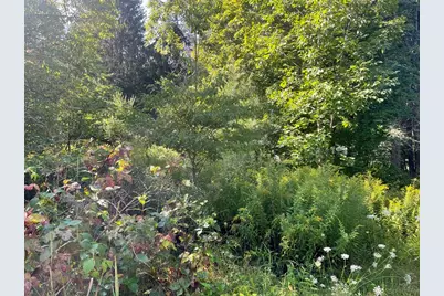16 Liberty St, Templeton, MA 01436 - Photo 2