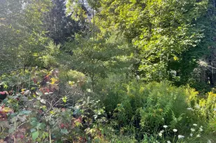 16 Liberty St, Templeton, MA 01436 - Photo 2