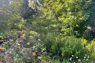 16 Liberty St, Templeton, MA 01436 - Photo 2
