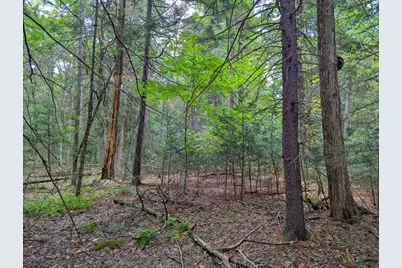 0 Hamilton Rd, Becket, MA 01223 - Photo 8