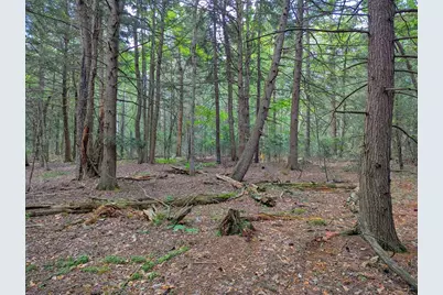0 Hamilton Rd, Becket, MA 01223 - Photo 6