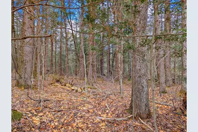 0 Bonny Rigg Hill Rd, Becket, MA 01223 - Photo 14