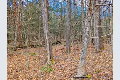 0 Bonny Rigg Hill Rd, Becket, MA 01223 - Photo 8