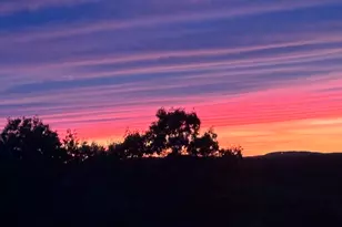 15 Morgan Drive, Natick, MA 01760 - Photo 32