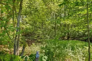 20 Feather Run, Taunton, MA 02780 - Photo 34