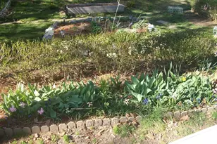 15R & 15 Lambert Ave, Chelsea, MA 02150 - Photo 6