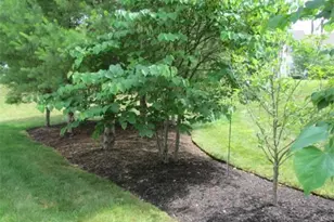 24 Brook Ln, Berlin, MA 01503 - Photo 20